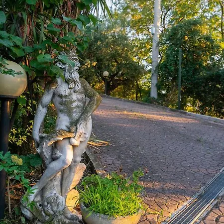 B&B Bellevue