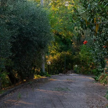 B&B Bellevue San Giovanni Teatino